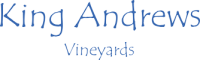 king andrews logo.png