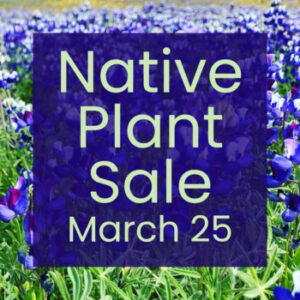 Native Plant Sale @ Mangels Vineyards