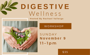 Herbal Digestive Wellness Workshop @ Village 360