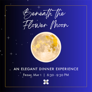 Beneath the Flower Moon in the Grove