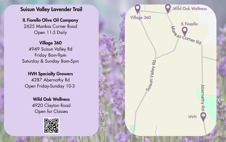 2026 Suisun Valley Lavender Trail