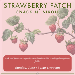 Strawberry Patch Snack n' Stroll